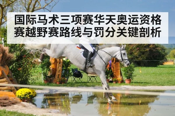 国际马术三项赛华天奥运资格赛越野赛路线与罚分关键剖析